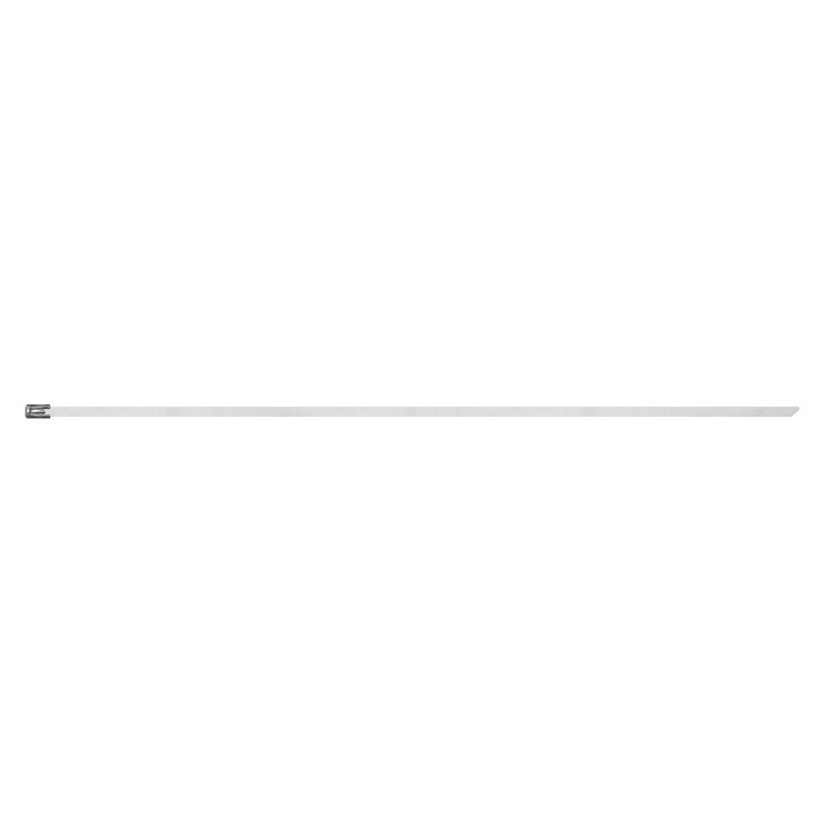 Stainless Steel Cable Tie 200mm x 4.6mm - Pack of 100