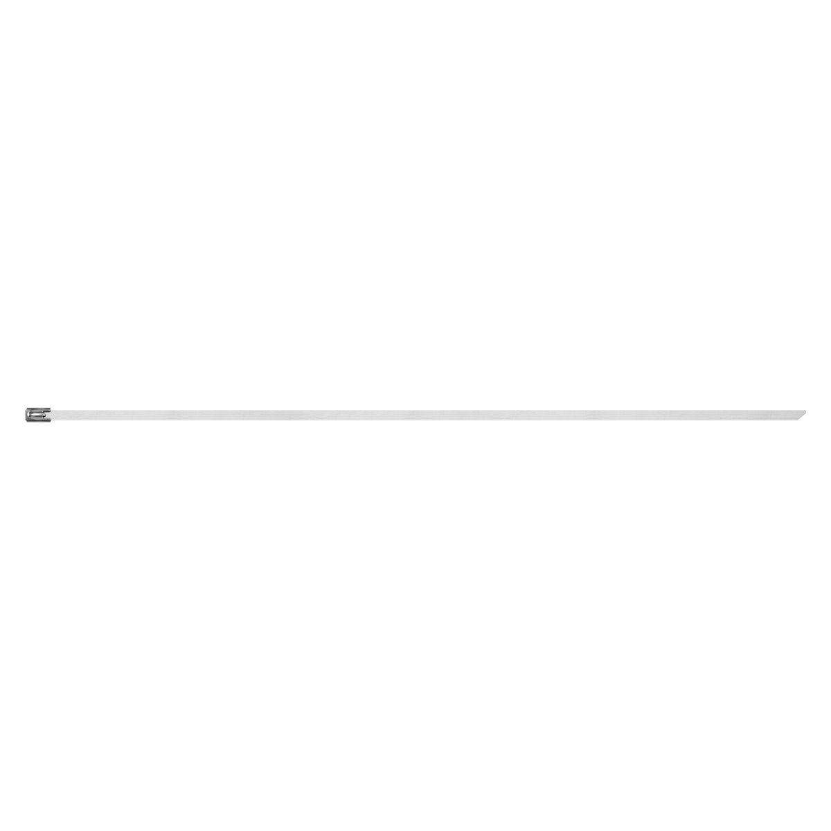 Stainless Steel Cable Tie 300mm x 4.6mm - Pack of 100