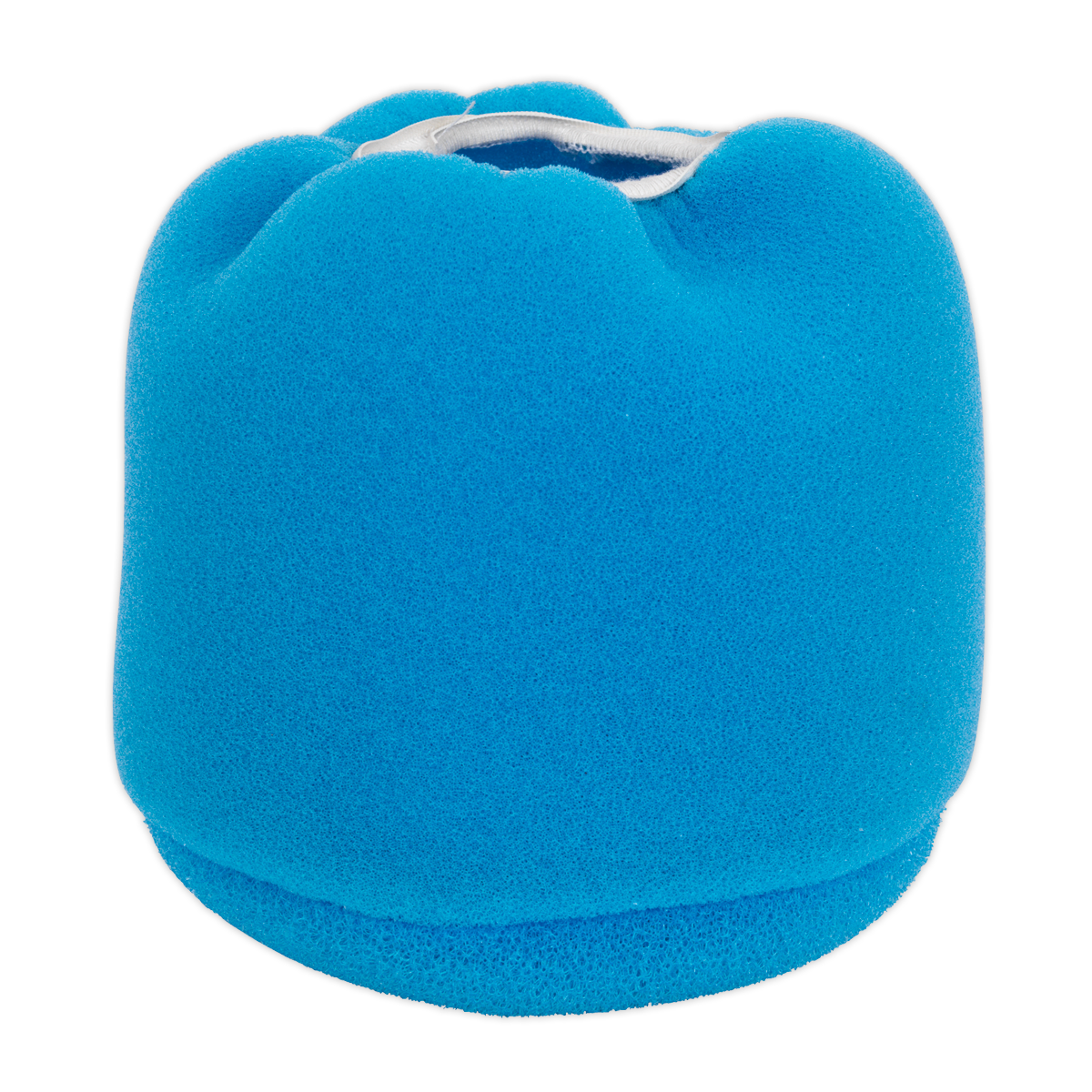 M Class Foam Filter (DFS35FF)