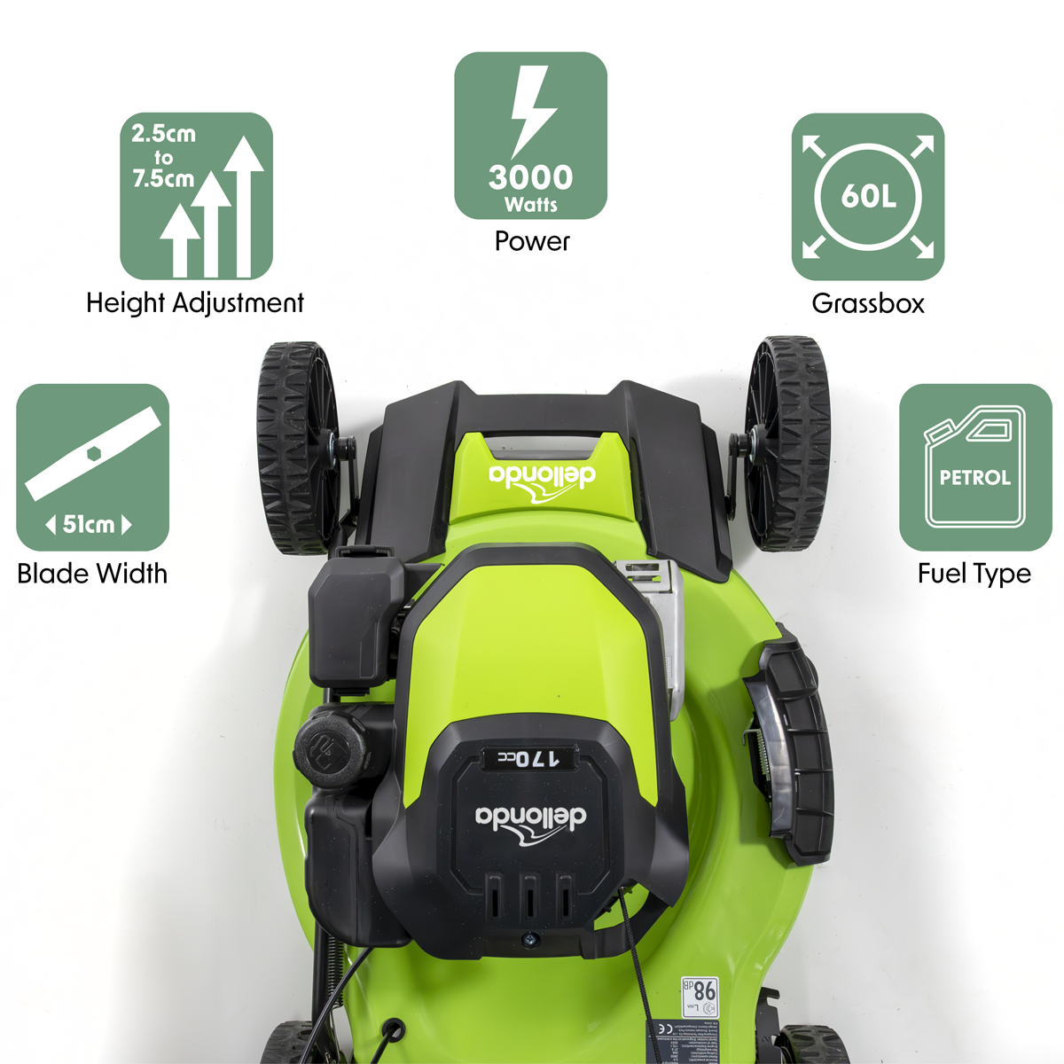 Dellonda Self-Propelled Petrol Lawnmower Grass Cutter with Height Adjustment & Grass Bag 170cc 20"/51cm 4-Stroke Engine