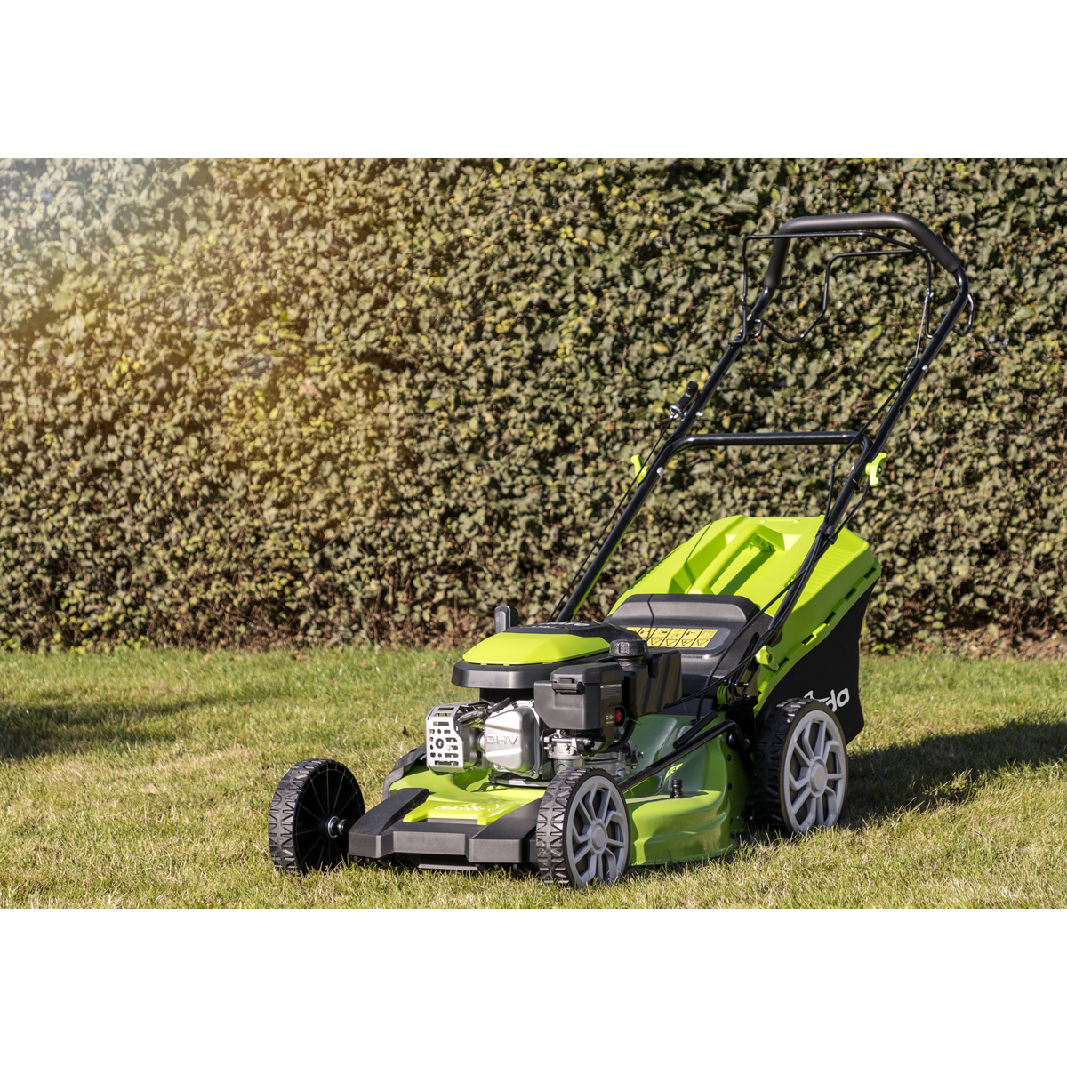 Dellonda Self-Propelled Petrol Lawnmower Grass Cutter with Height Adjustment & Grass Bag 170cc 20"/51cm 4-Stroke Engine