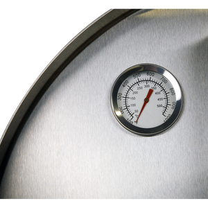 Dellonda Outdoor Wood-Fired Pizza Oven & Smoker