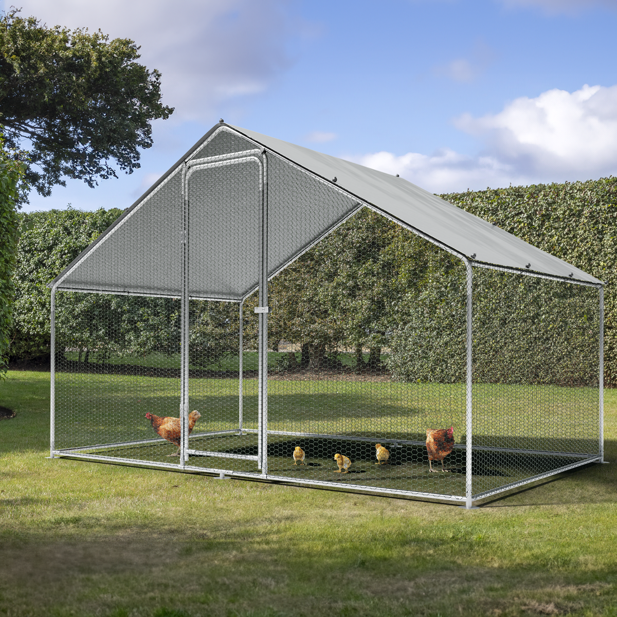 Dellonda Walk-In Galvanized Steel Chicken Run with Roof Cover & PVC Coated Chicken Wire