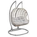 Dellonda Double Swinging Egg Chair with Cushion