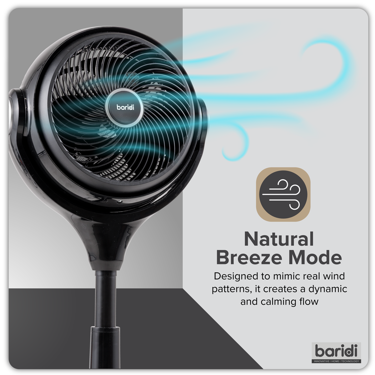 Baridi Pedestal Fan with Remote Control & Timer 10", Black (DH143) (Factory Refurbished B)