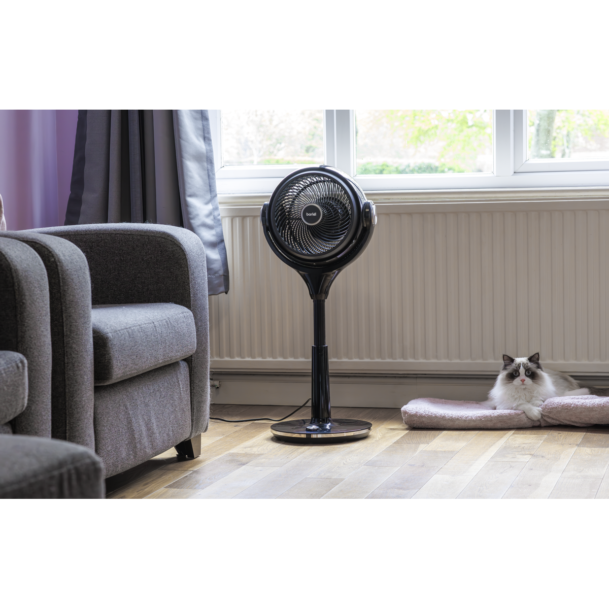 Baridi Pedestal Fan with Remote Control & Timer 10", Black (DH143) (Factory Refurbished B)