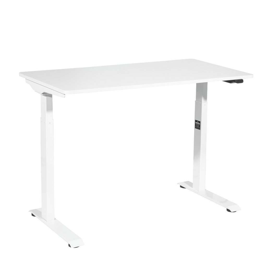 Dellonda Single Motor Adjustable Sit and Stand Desk 120 x 60cm