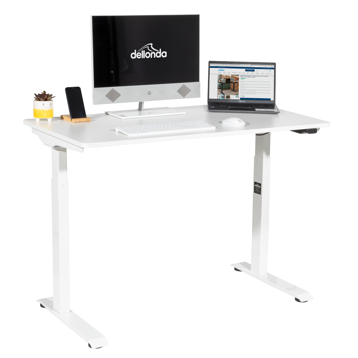 Dellonda Single Motor Adjustable Sit and Stand Desk 120 x 60cm