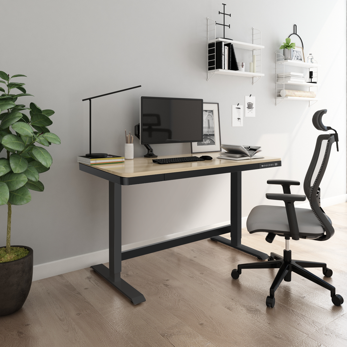 Dellonda Single Motor Adjustable Sit & Stand Desk, 120 x 60cm, Oak Desktop (DH65)