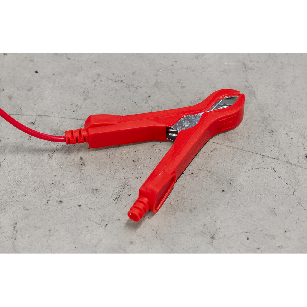 12V Battery Charger, 6A (DSBC6)