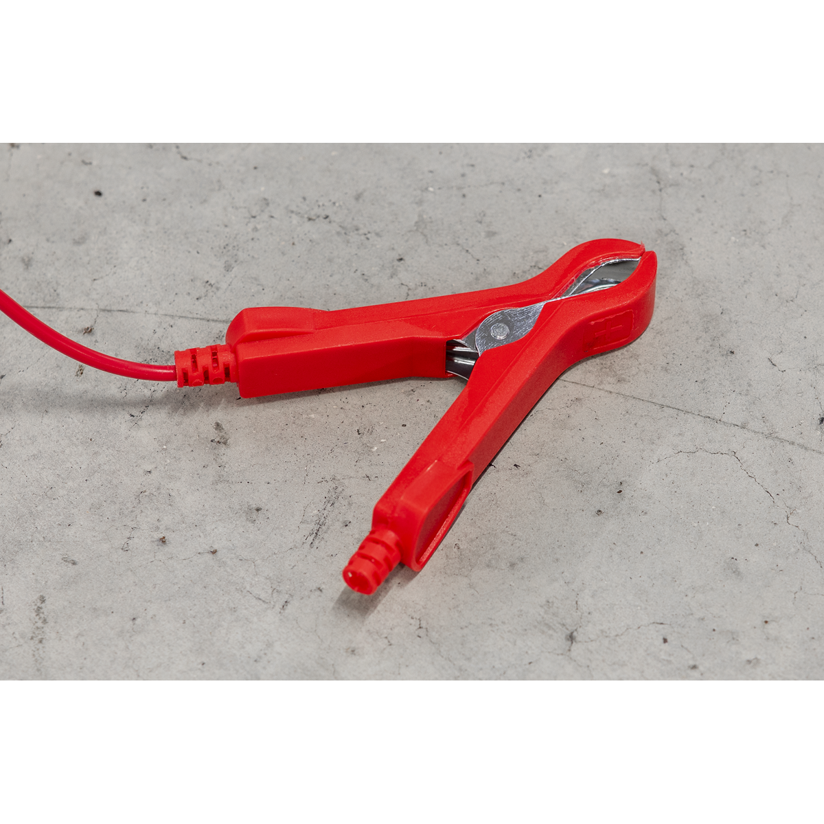 12V Battery Charger, 6A (DSBC6)