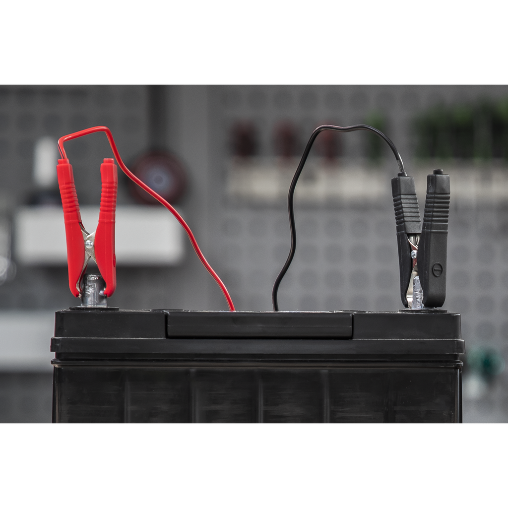 6/12V Battery Charger, 8A (DSBC8)