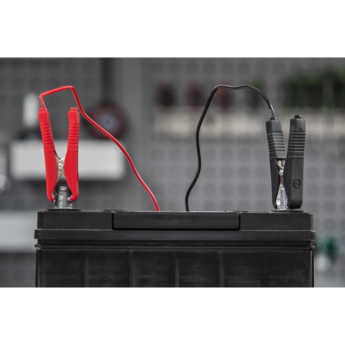 6/12V Battery Charger, 8A (DSBC8)