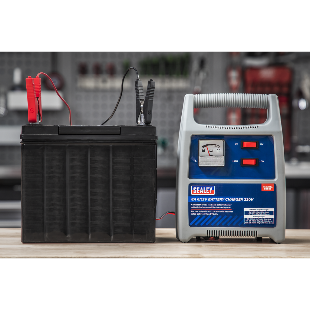 6/12V Battery Charger, 8A (DSBC8)