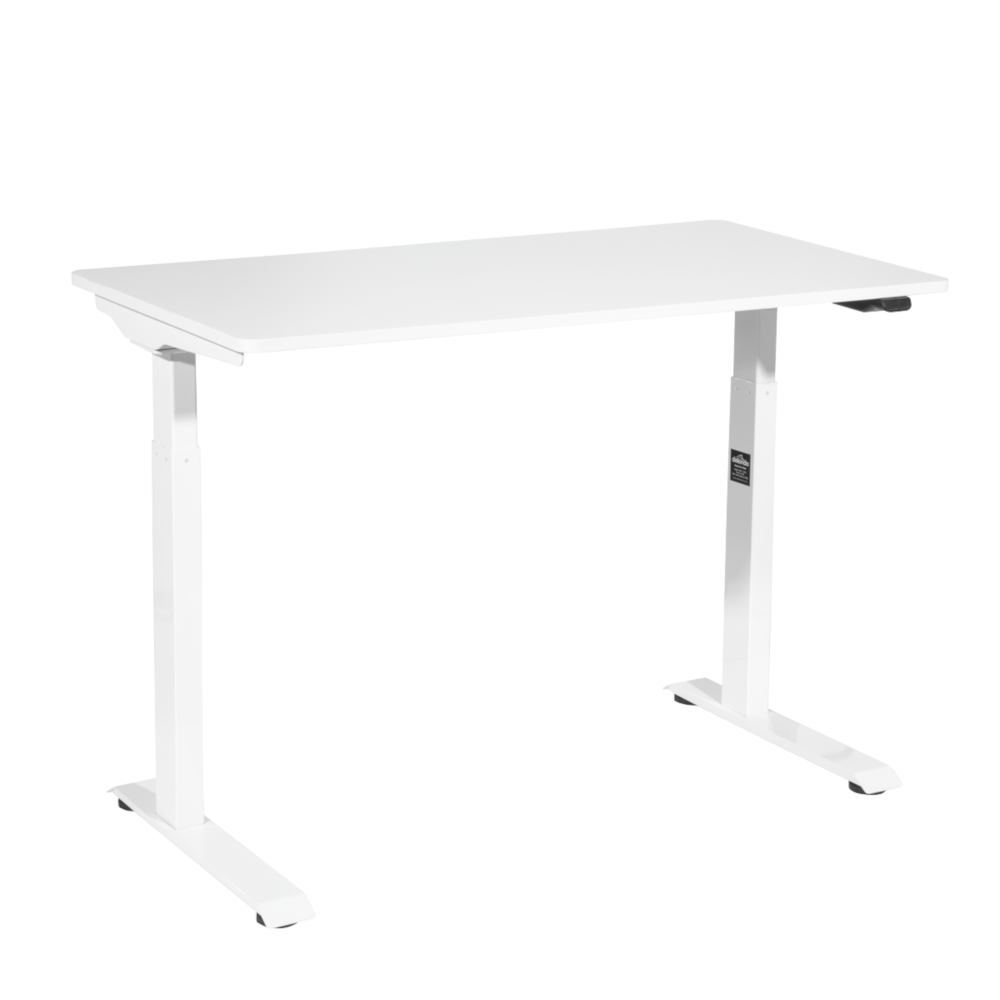 Dellonda DH56 Single Motor Height Adjustable Electric Sit and Stand Computer Desk with Controls, 120 x 60cm, 50kg Capacity, White