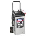 12/24V Electronic Charger Maintainer/Starter 45/300A