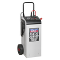 12/24V Electronic Charger Maintainer/Starter 100/650A
