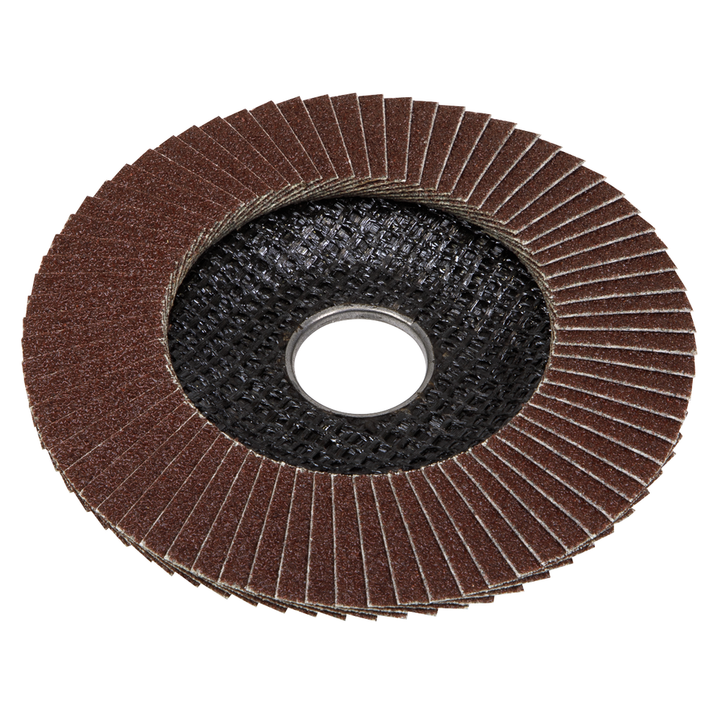 100mm Aluminium Oxide Flap Disc 120Grit 16mm Bore