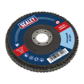 100mm Zirconium Flap Disc 40Grit 16mm Bore