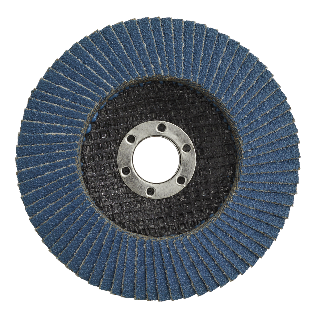 100mm Zirconium Flap Disc 40Grit 16mm Bore