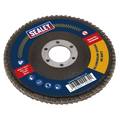 100mm Aluminium Oxide Flap Disc 40Grit 16mm Bore