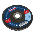 100mm Zirconium Flap Disc 60Grit 16mm Bore