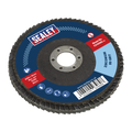 100mm Zirconium Flap Disc 80Grit 16mm Bore