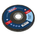 125mm Zirconium Flap Disc 60Grit 22mm Bore