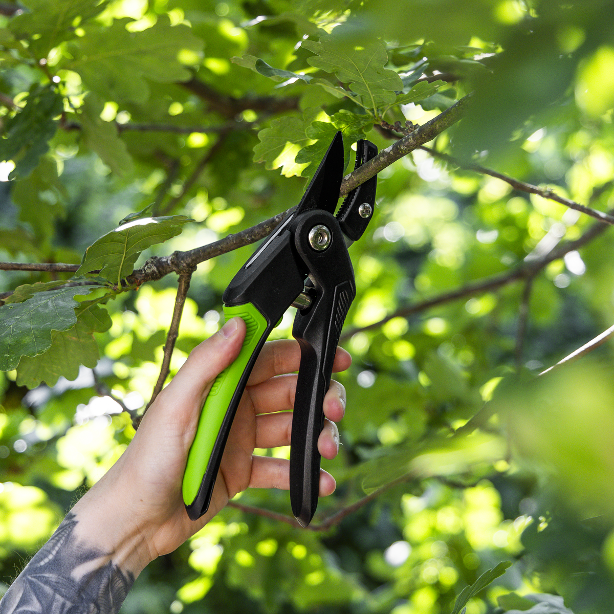 Anvil Secateurs with Soft Grip Handle, 3-Stage Safety Lock & Carbon Steel Blade, 220mm