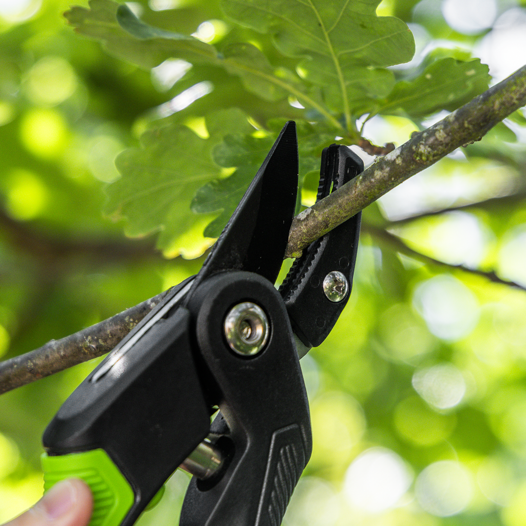 Anvil Secateurs with Soft Grip Handle, 3-Stage Safety Lock &