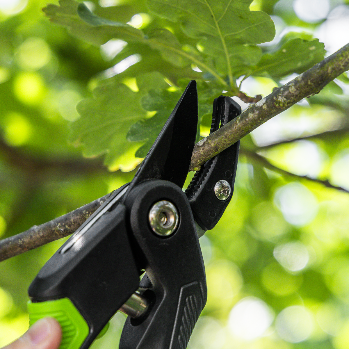 Anvil Secateurs with Soft Grip Handle, 3-Stage Safety Lock &