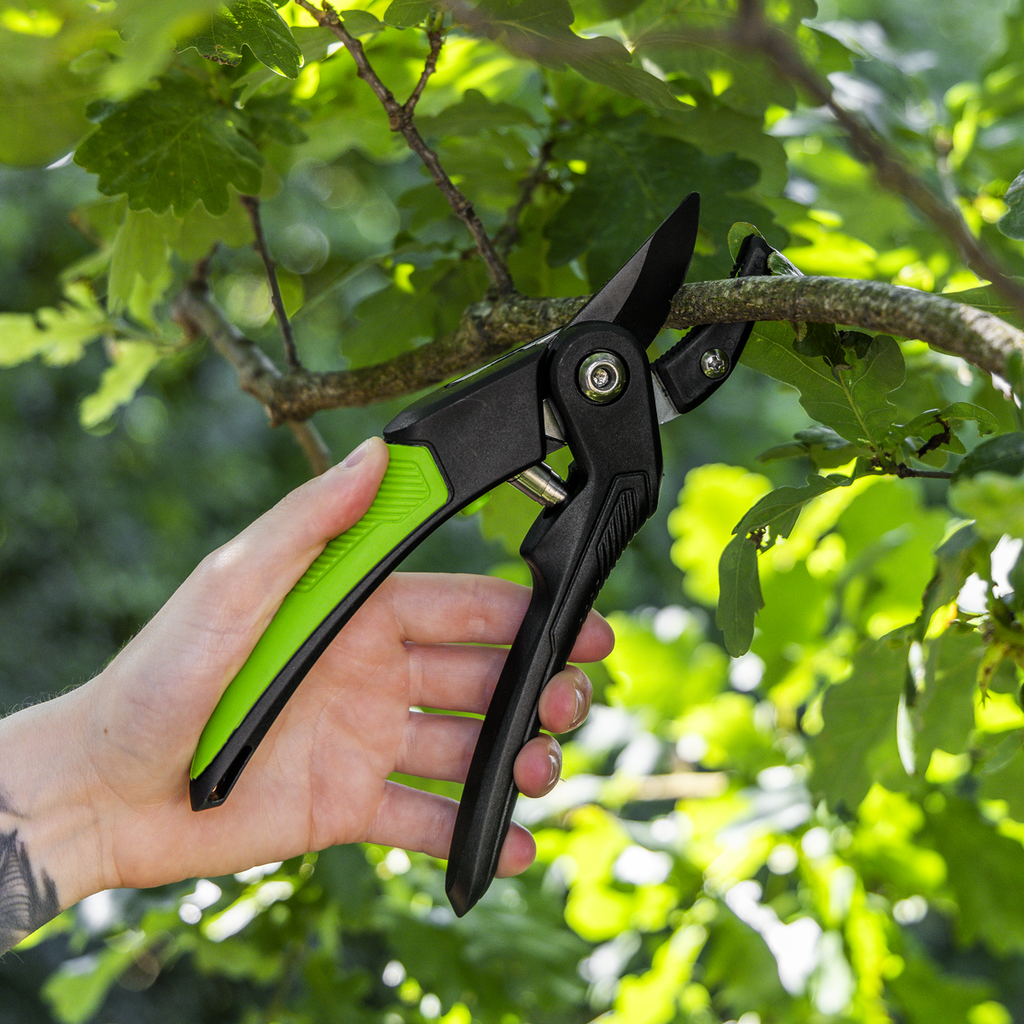 Anvil Secateurs with Soft Grip Handle, 3-Stage Safety Lock &