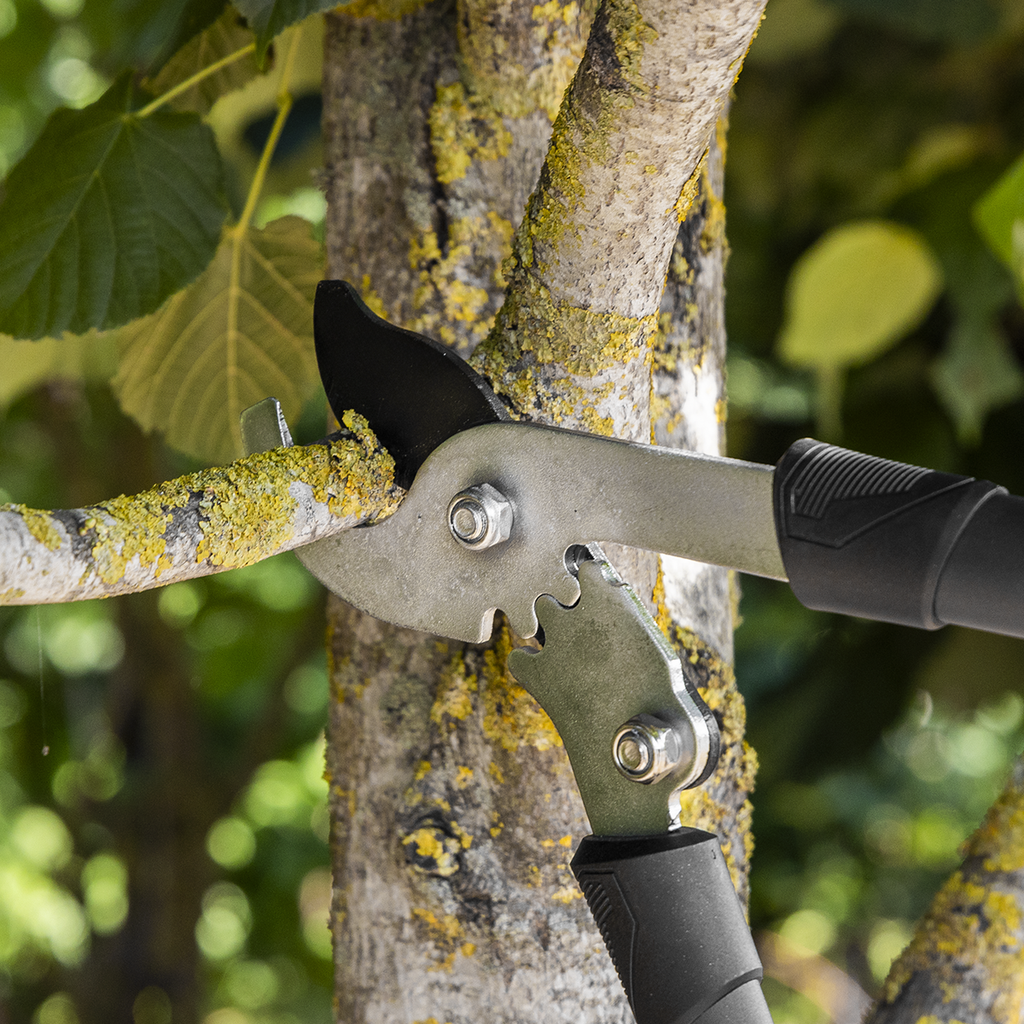 Bypass Lopping Shears with Soft Grip Handle, Geared & Carbon