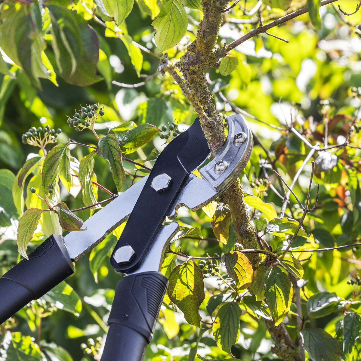 Anvil Lopping Shears with Soft Grip Handle, Geared & Carbon Steel Blade