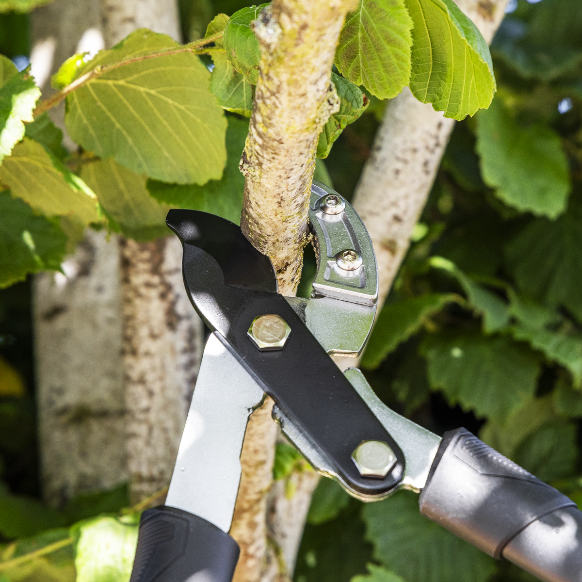 Telescopic Anvil Lopping Shears with Soft Grip Handle, Geare