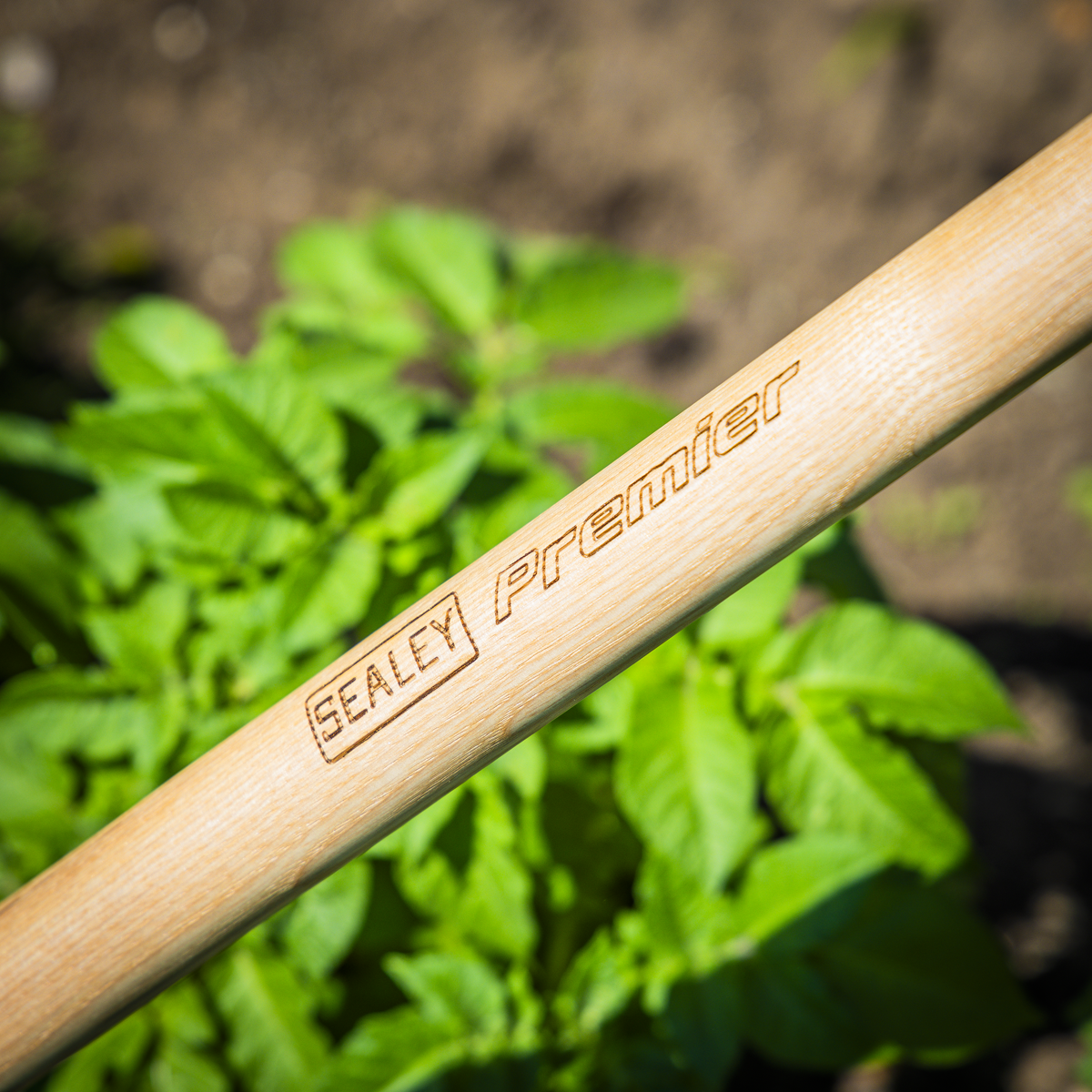 Premier Dutch Hoe with Long Ash Handle & Stainless Steel Bla