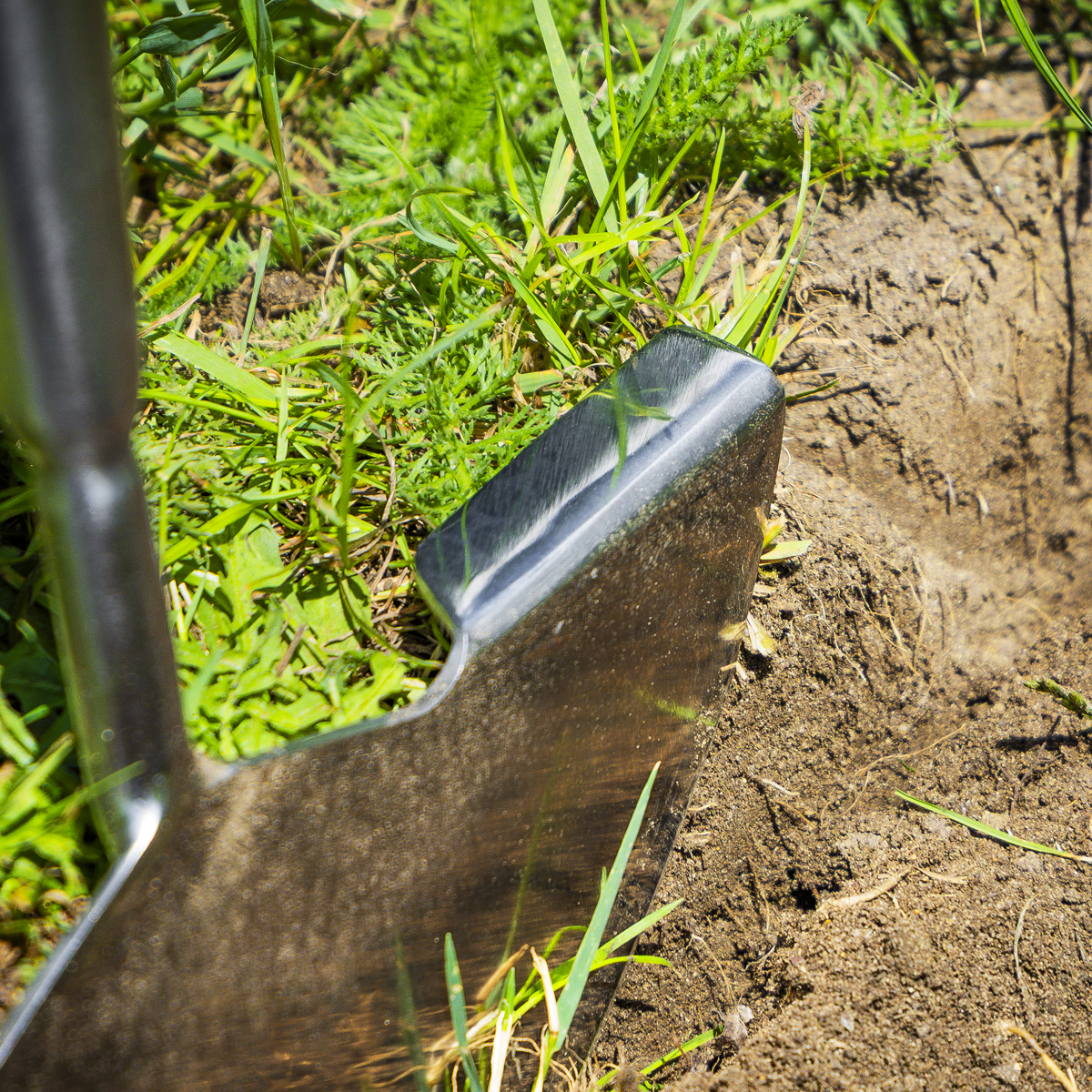 Premier Lawn Edger with Long Ash Handle & Stainless Steel Bl