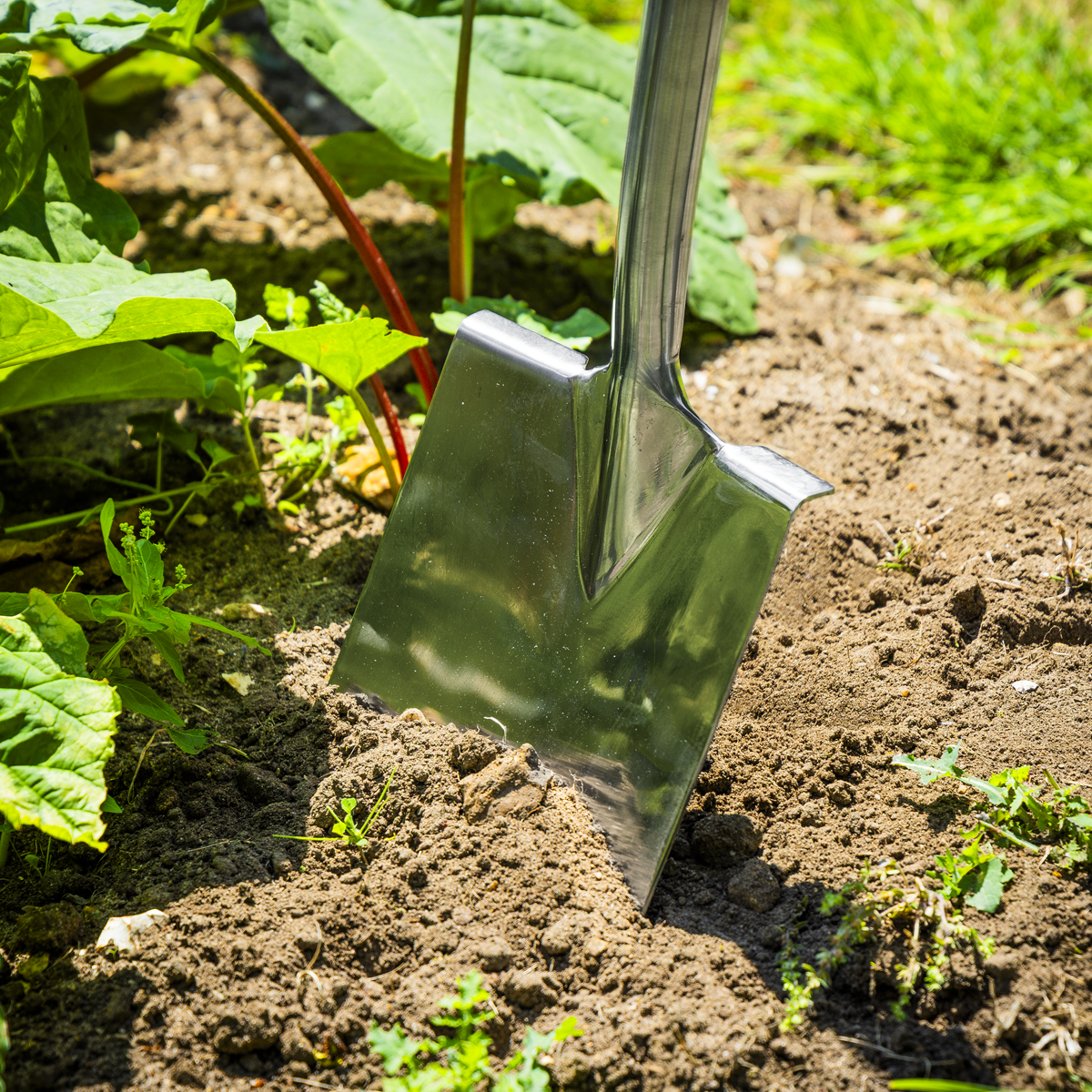 Premier Digging Spade with Ash Y Handle & Stainless Steel Bl