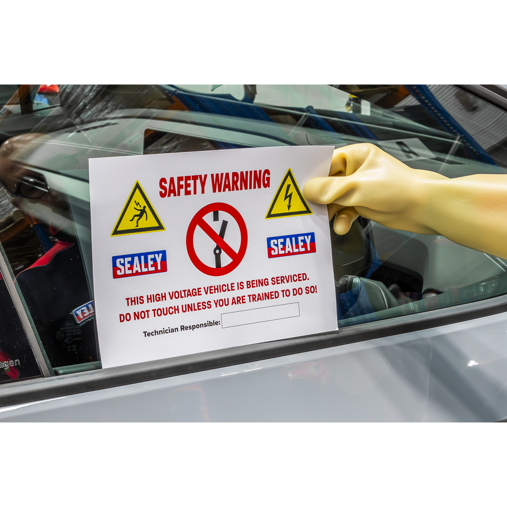 Hybrid/Electric Vehicle Warning Sign