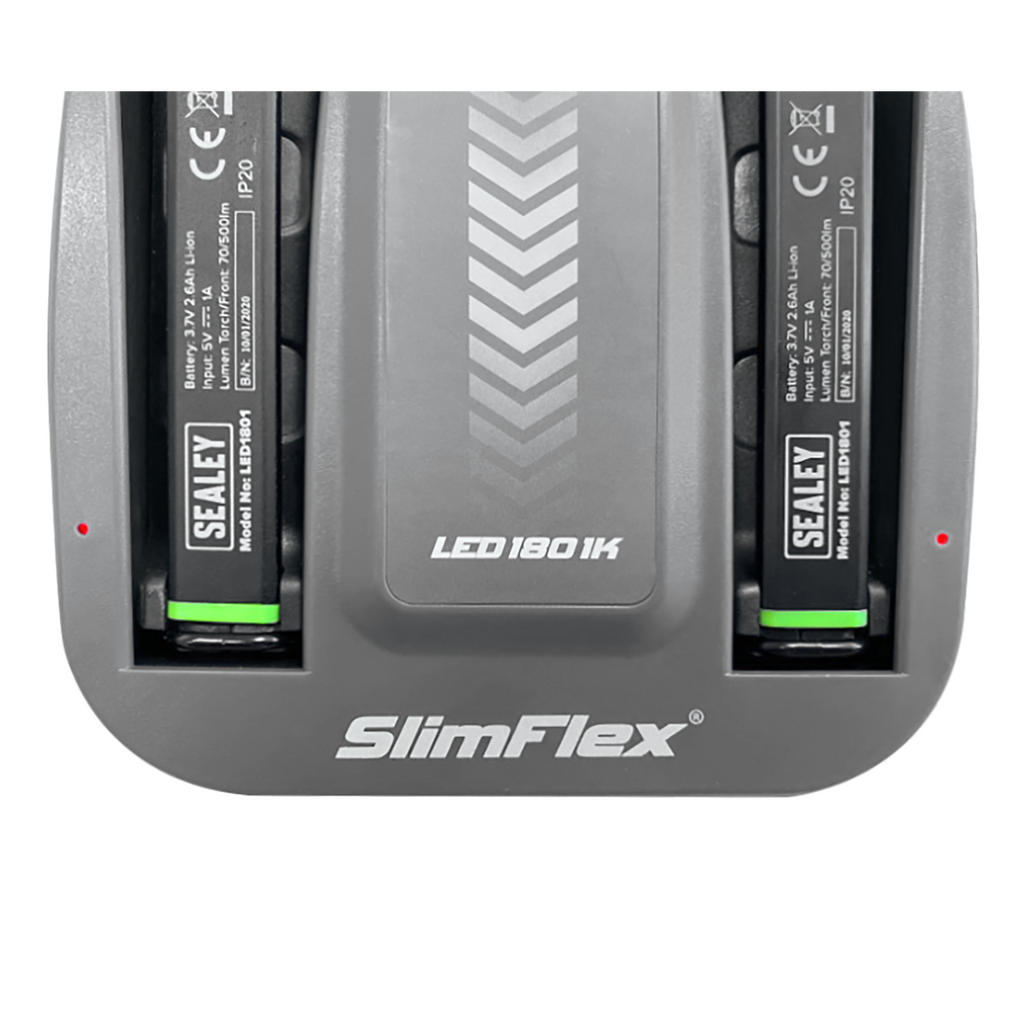 Rechargeable Floodlight/Folding Inspection Light Docking Sta
