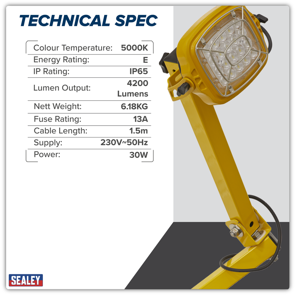 Loading Bay Floodlight 30W SMD LED