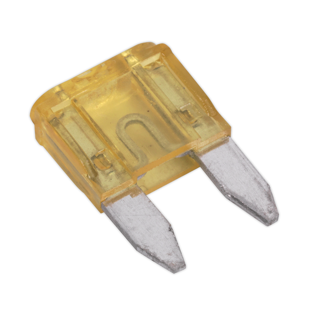 Clip Strip Deal - Automotive Mini Blade Fuses & Holders