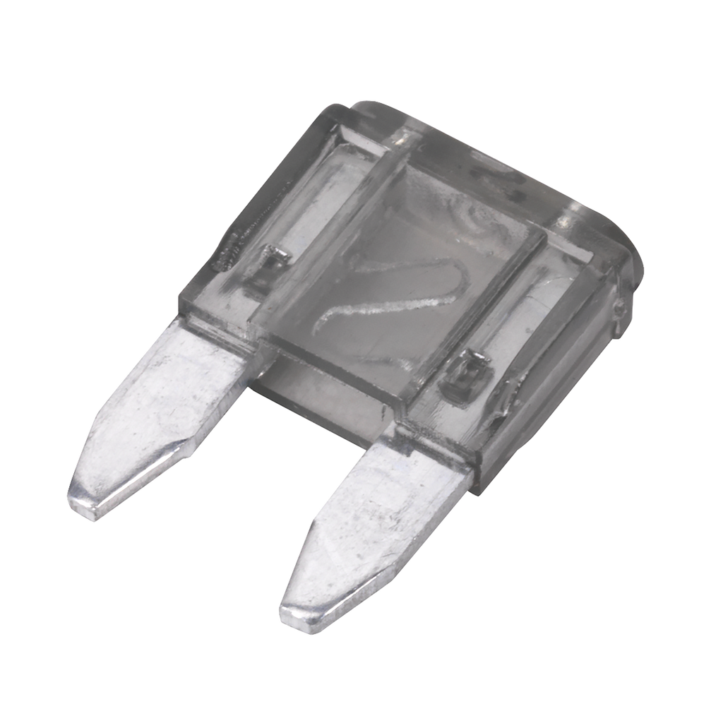 Automotive MINI Blade Fuse 2A - Pack of 50