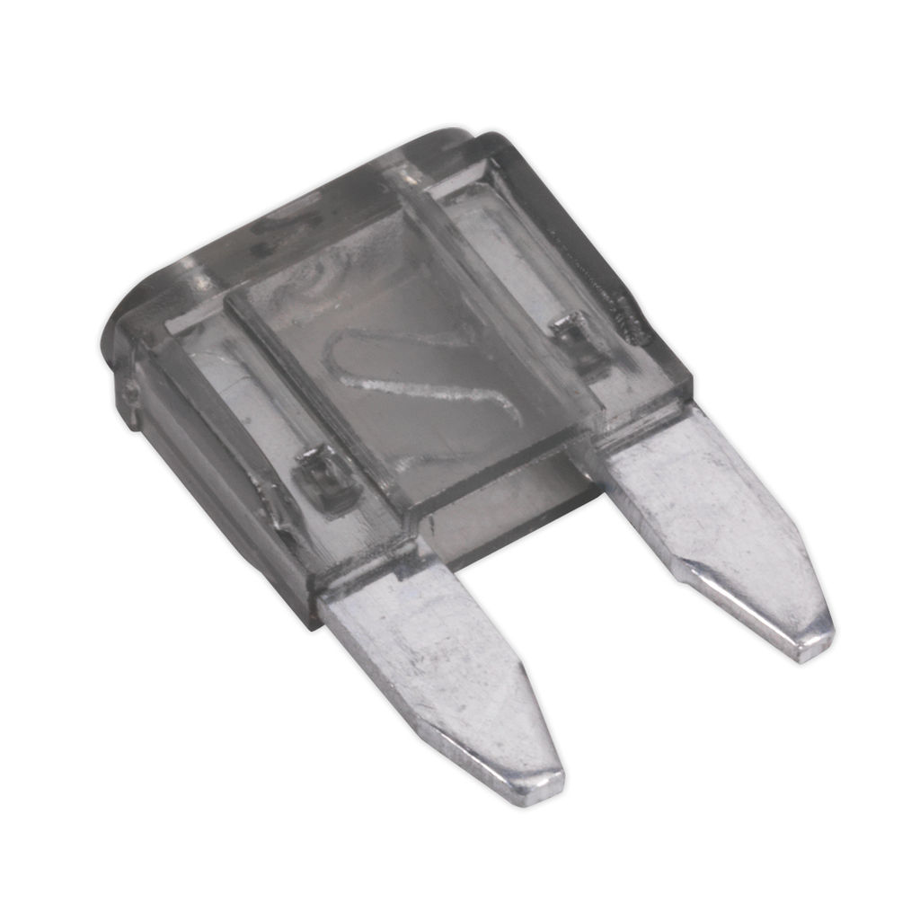 Clip Strip Deal - Automotive Mini Blade Fuses & Holders