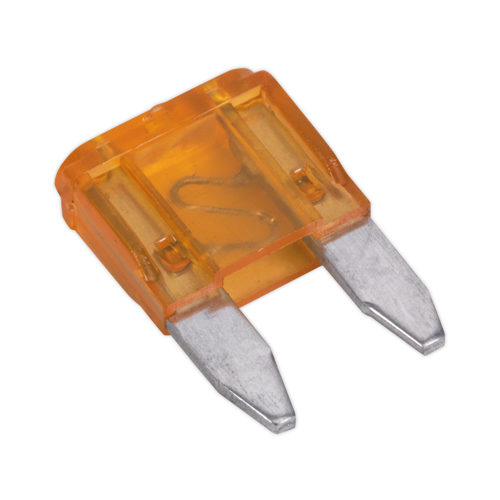Clip Strip Deal - Automotive Mini Blade Fuses & Holders