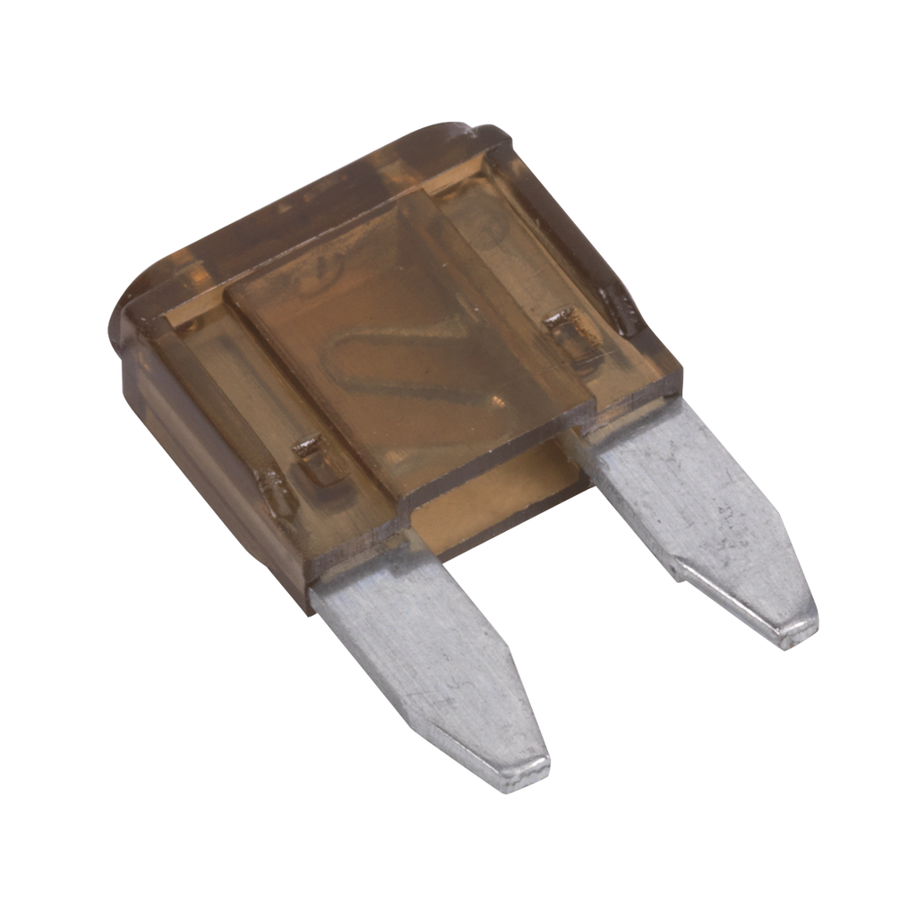 Clip Strip Deal - Automotive Mini Blade Fuses & Holders