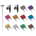 Clip Strip Deal - Automotive Mini Blade Fuses & Holders