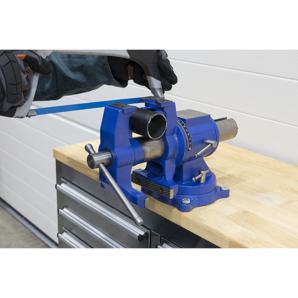 Multifunction Cast Iron Vice with Swivel Base 150mm