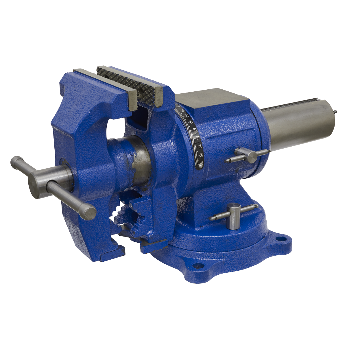 Multifunction Cast Iron Vice with Swivel Base 150mm