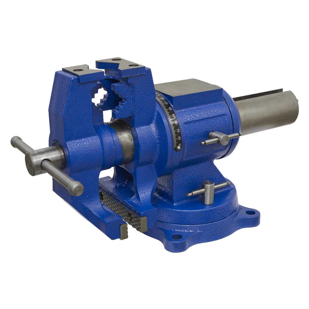 Multifunction Cast Iron Vice with Swivel Base 150mm